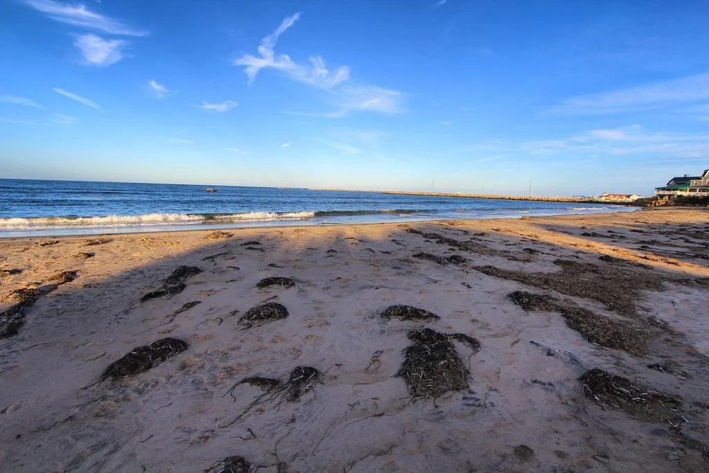 Island Manor Resort by VRHost