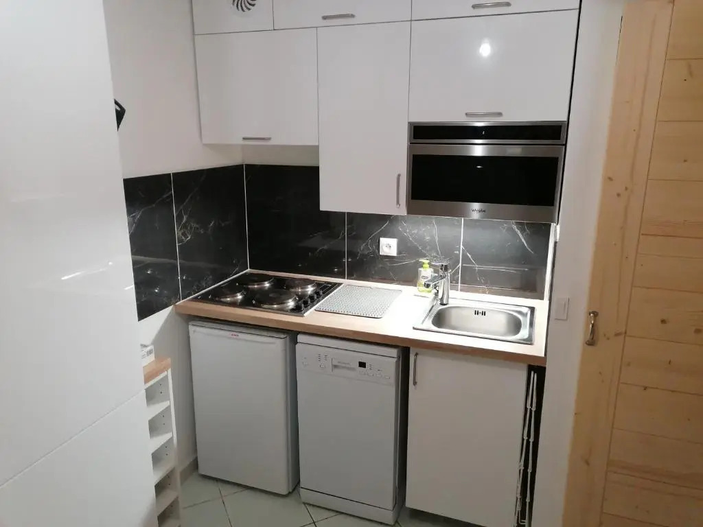 Appartement La Clusaz, 1 pièce, 4 personnes - FR-1-459-64