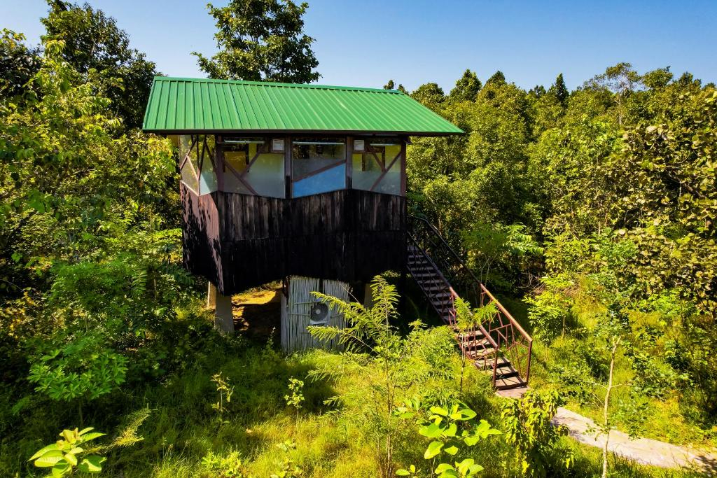 Kanha Jungle Camp