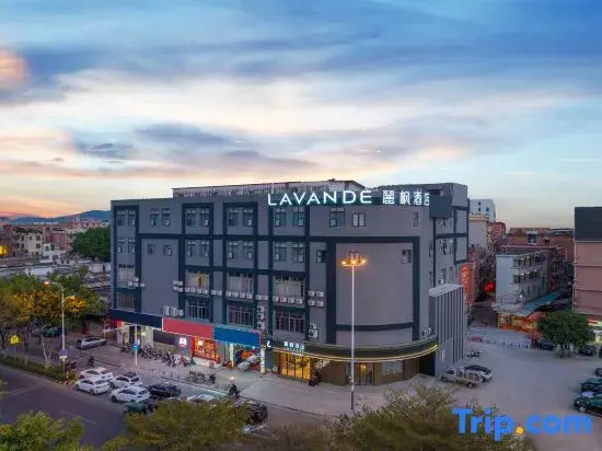 Lavande Hotel (Guangzhou Asian Games City Shiqi Metro Station)