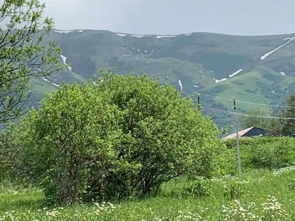 Haystack Bakuriani 27
