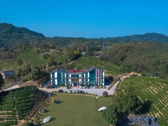 Yingyuan Farm · Anji Yingyuan Tea Manor