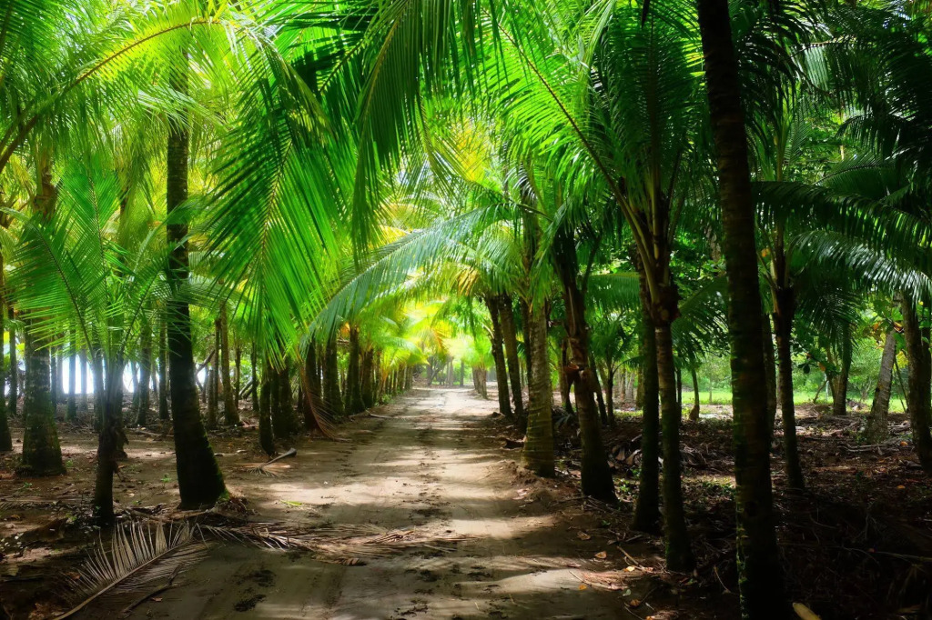 La Palapa Ecolodge