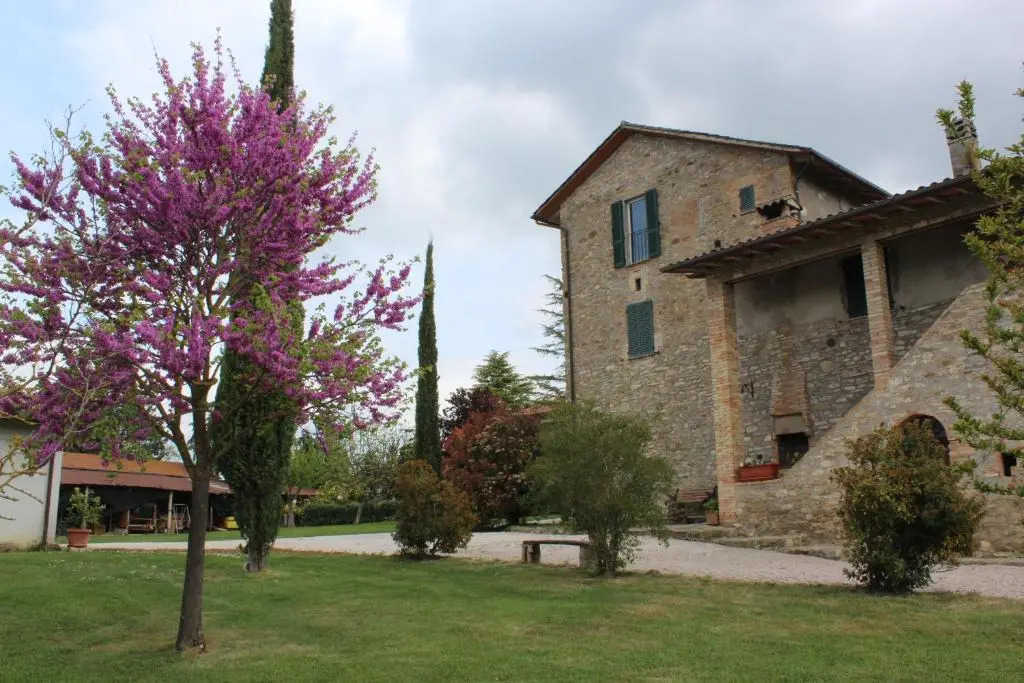 Fattoria di Rigone