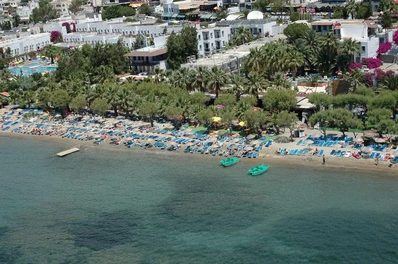Sami Plaza