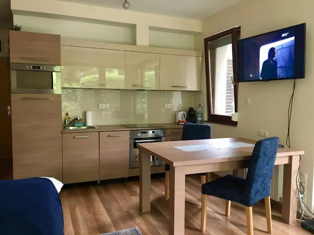 Madarhegy Apartment with garden Buda side