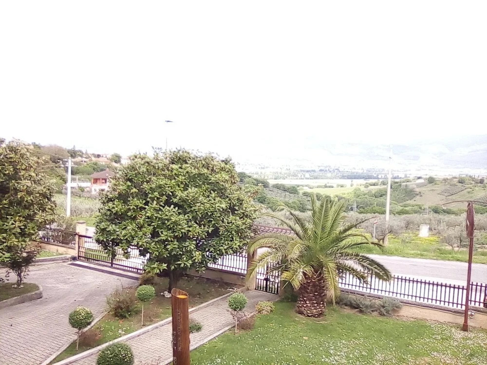 Panico Febo House