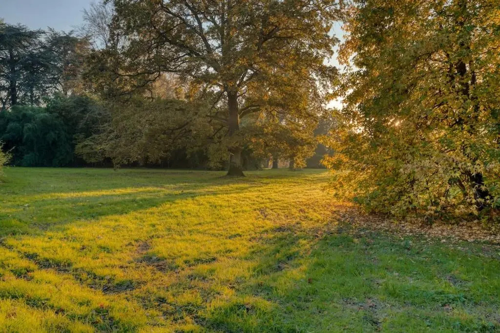 Studio "L'Ermitage" Proche Chateau