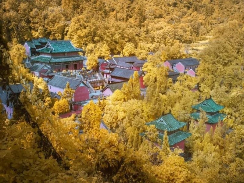 Wudangshan Guobin Hotel