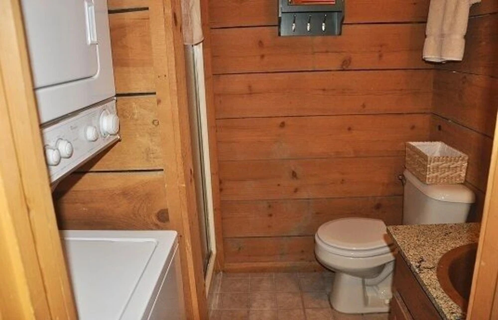Mountain Bearadise 2 Bedrooms 2 Bathrooms Cabin
