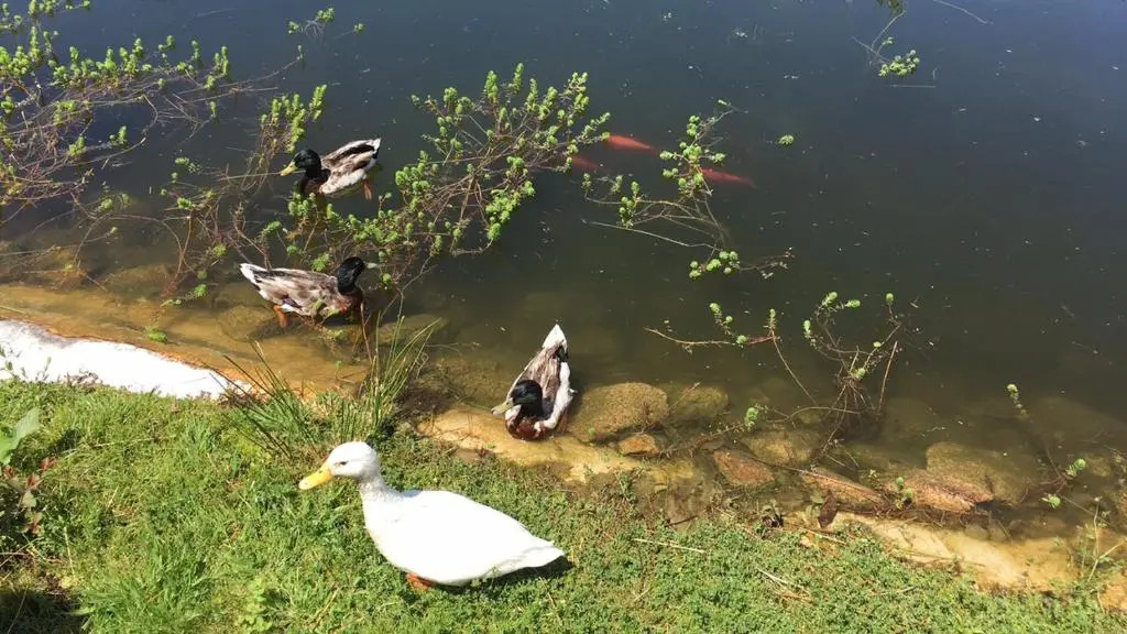 Quinta das Mineirinhas
