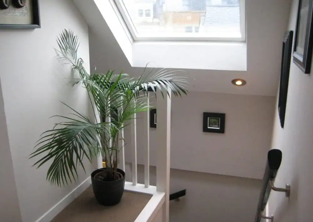 The Courtyard 10