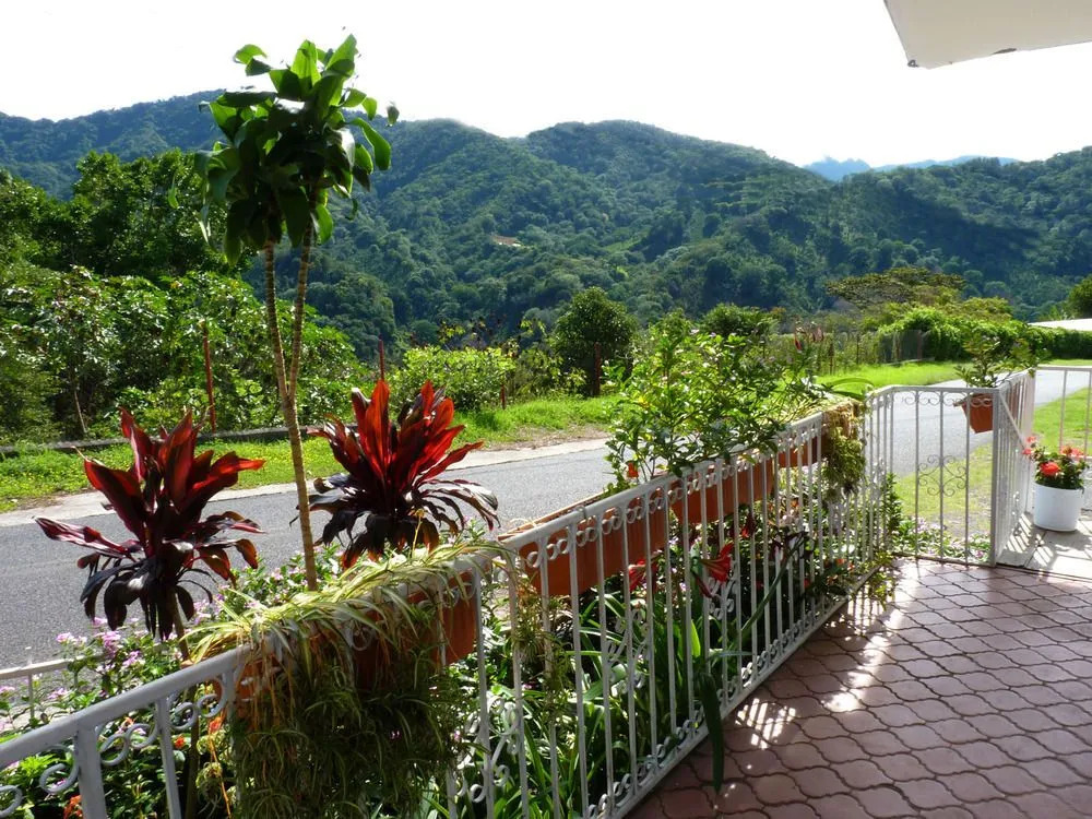 Autana Bed and Breakfast - Hostel