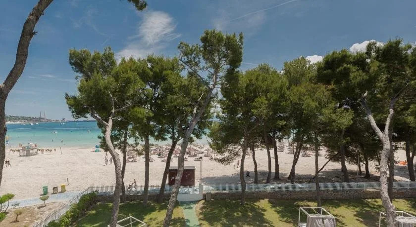 Sofia Alcudia Beach