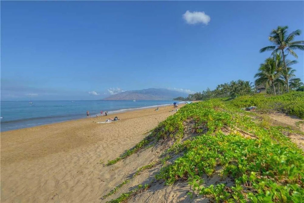 Maui Vista 2318
