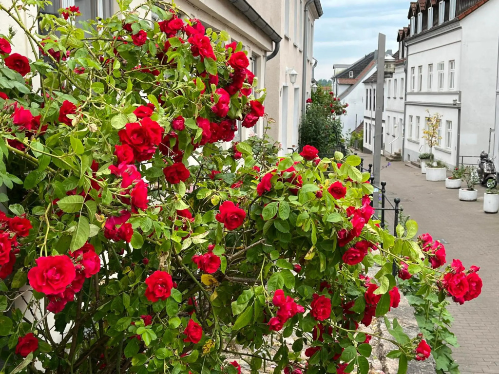 Ferienwohnung Frieda