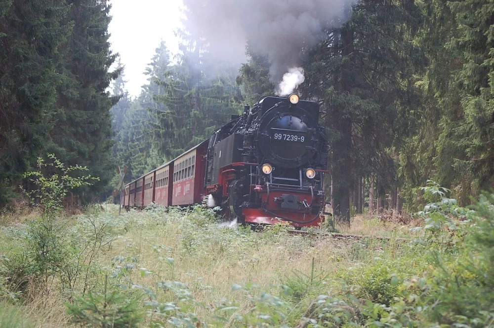 Behagliches Ferienhaus Zaunkönig -mit Kamin und Sauna- Blick über das romantische Bodetal