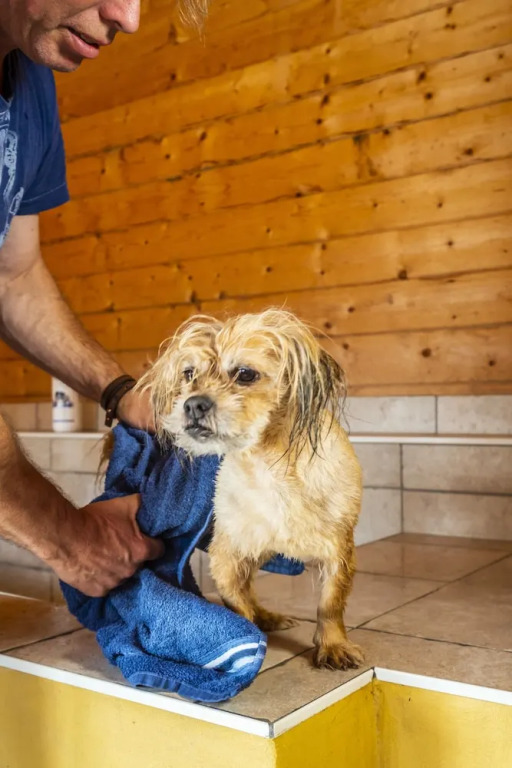 Hotel Pharisäerhof - DAS Hundehotel auf Nordstrand mit Restaurant und Café