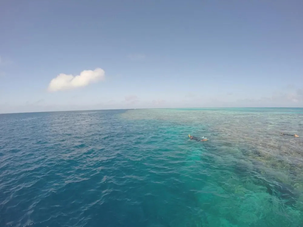 Island Views