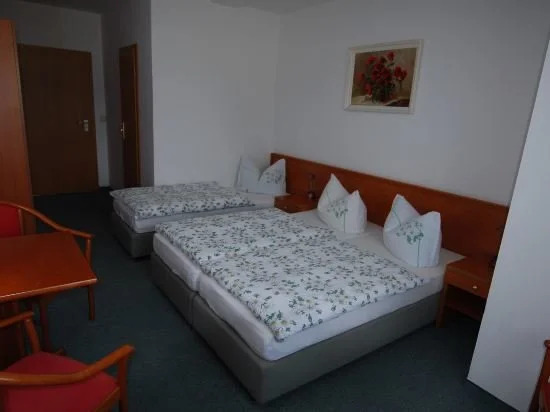 Pension Schwesinger