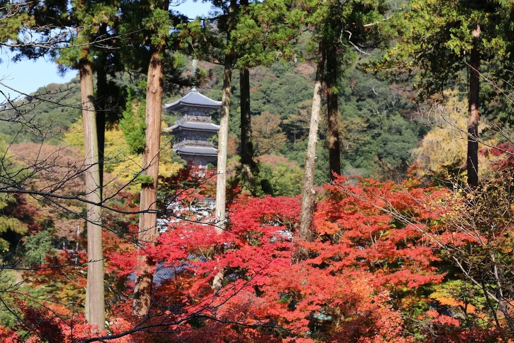 Ryokan Koyokan