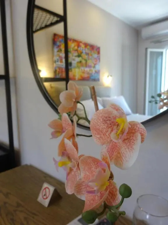 Dokos Studios