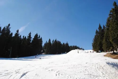 Chata MartinSki Martinske hole