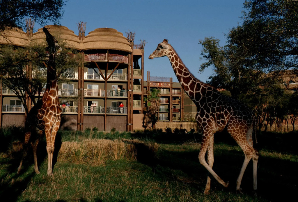 Disneys Animal Kingdom Villas - Kidani Village