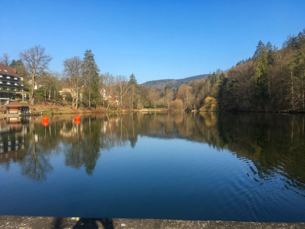 Am Kurpark