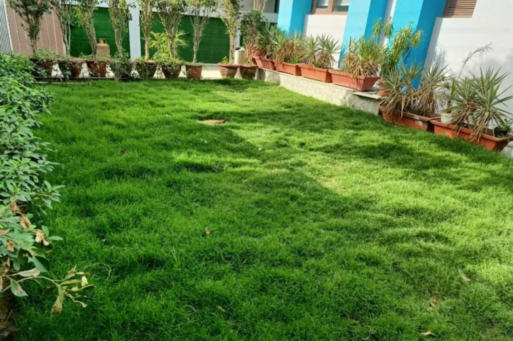 Asian Suites IFFCO Metro Station Gurugram