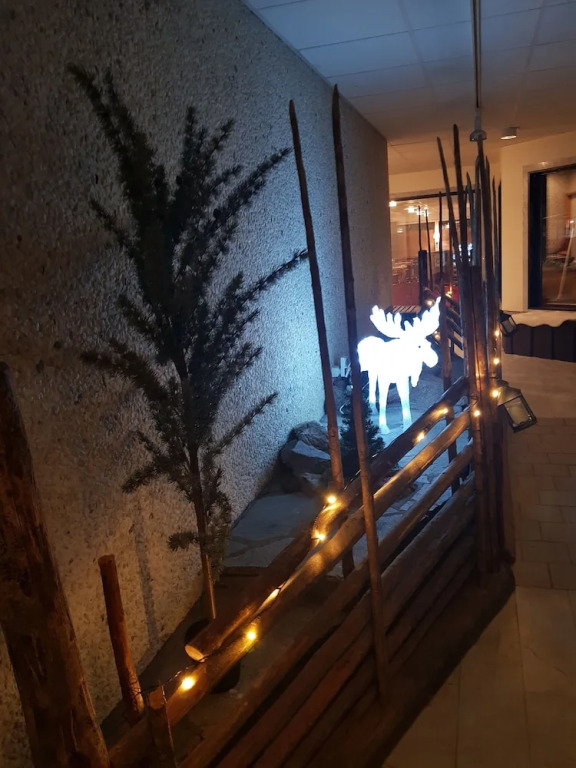 Big Moose Hotel
