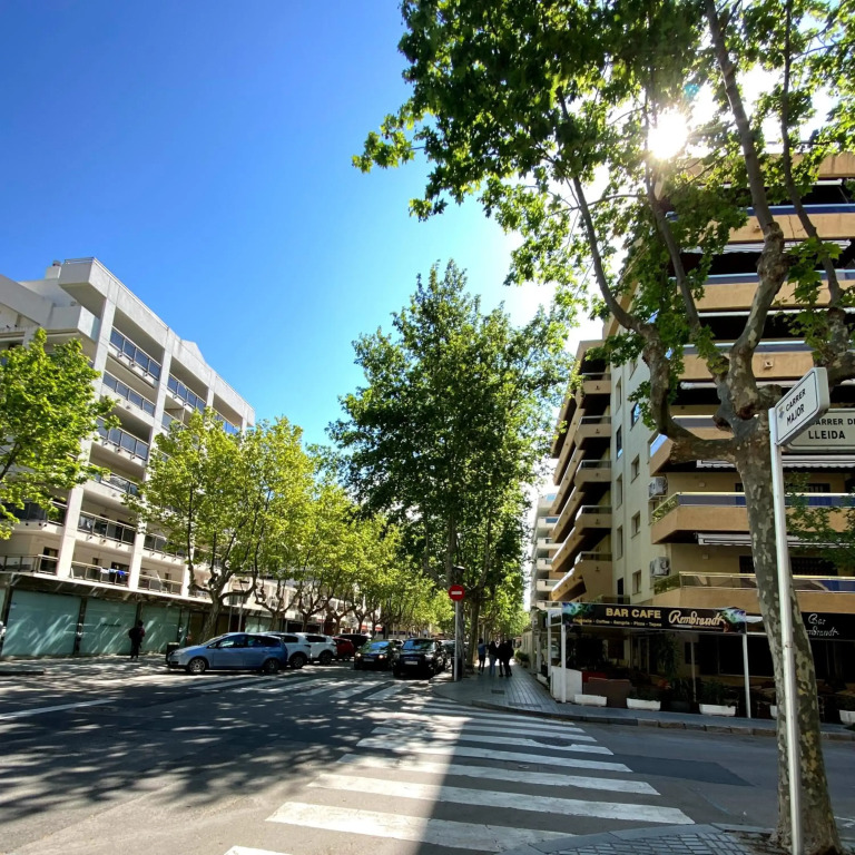Apartamento Dalex
