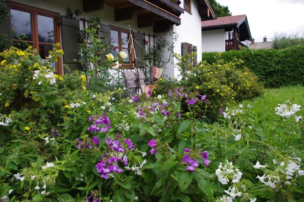 Ferienwohnung Haus Alpenrebe