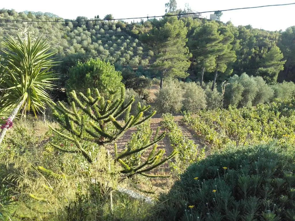 La Bastide de lOliveraie