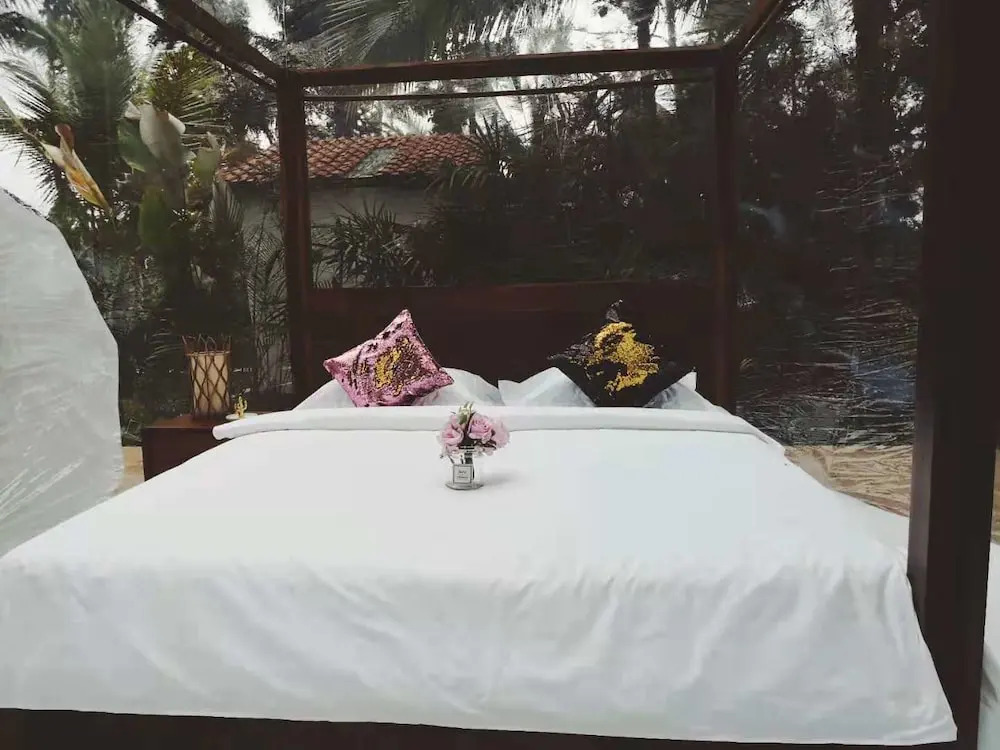 Jungle Bubble Lodge Ubud - Campsite