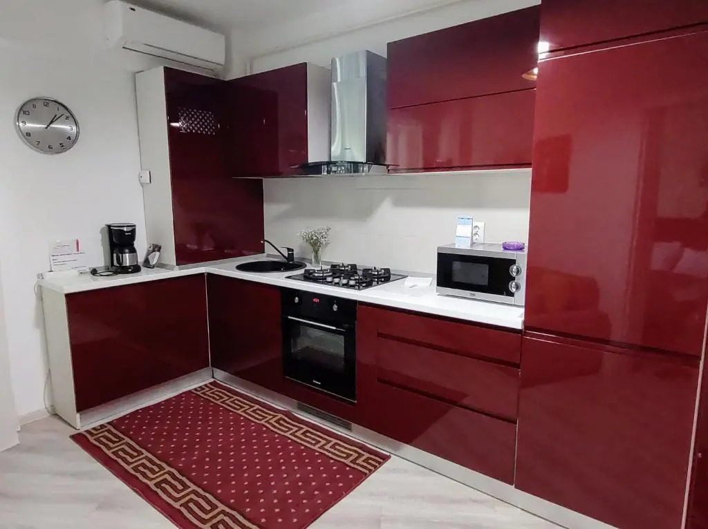 Simona Apartament Palas Mall 1