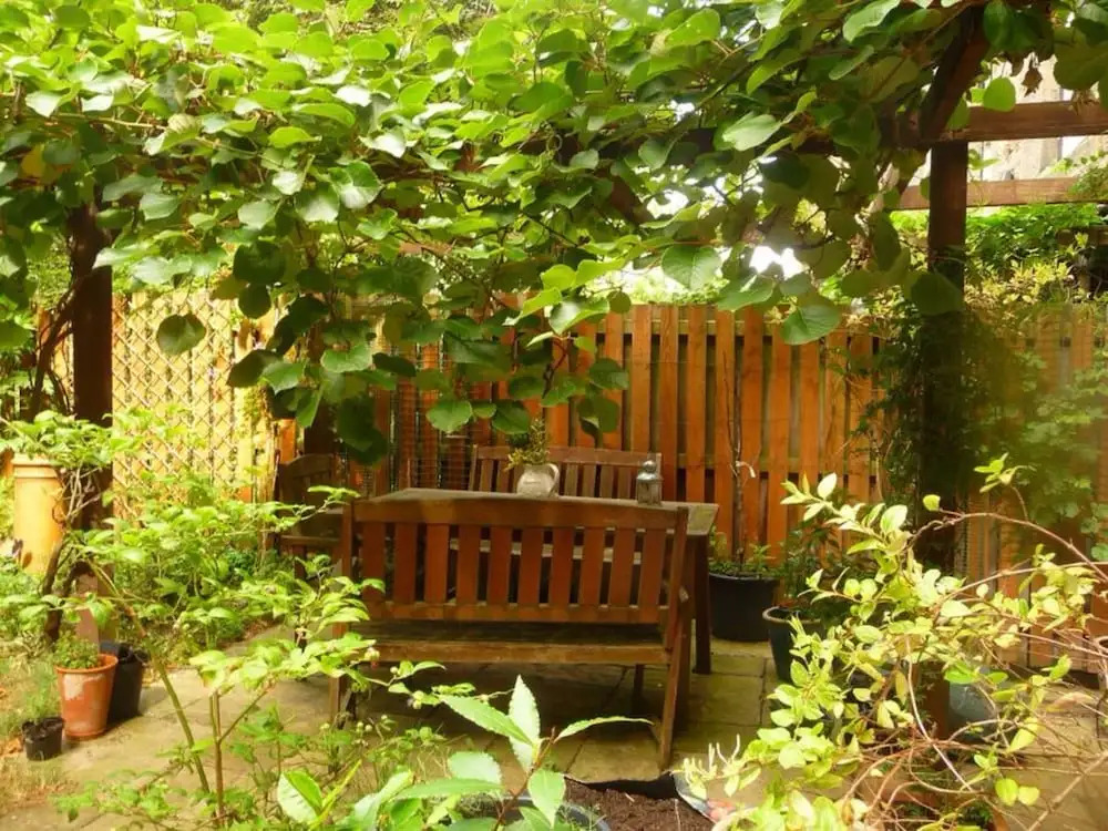 City Centre 2 Bed Flat