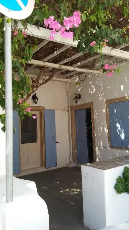 The large bougainvillea house