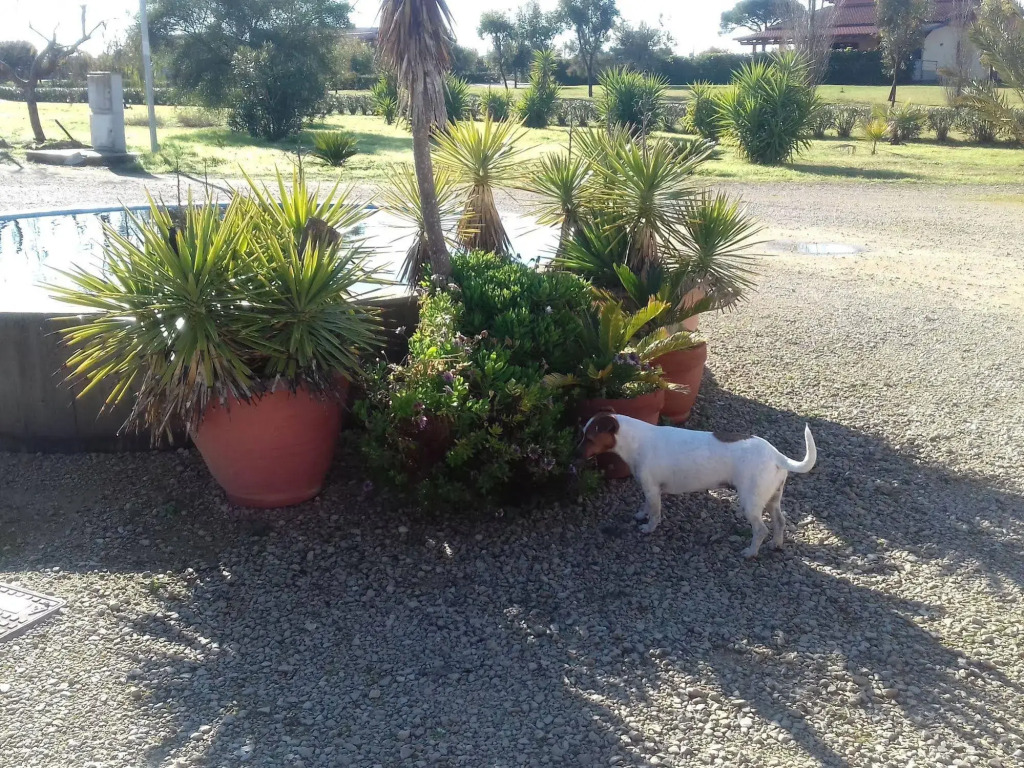 B&B Lu Casale