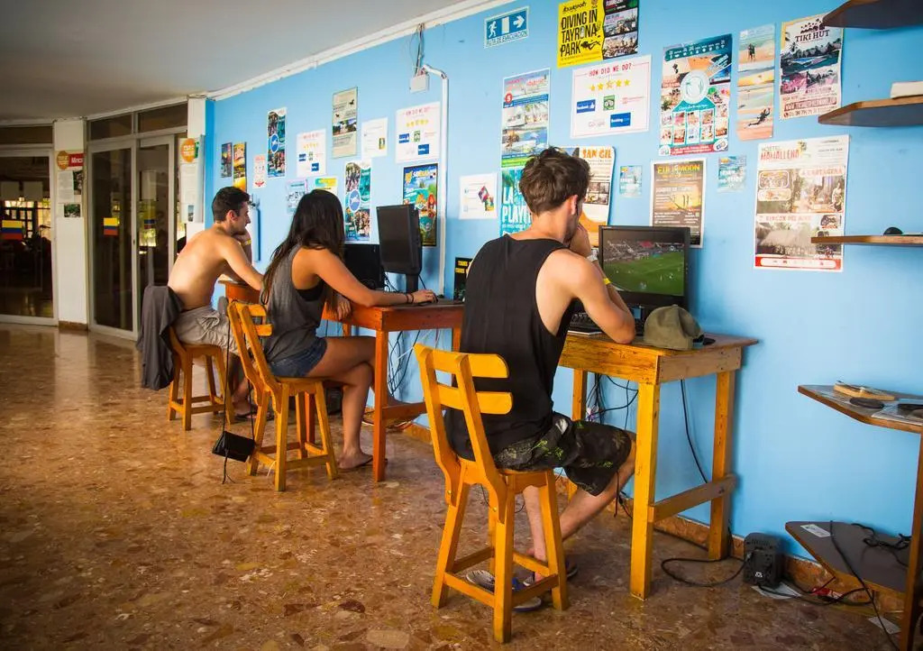 Drop Bear Hostel