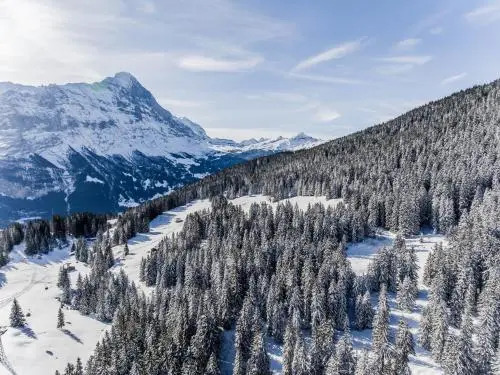 Chalet Lecocq