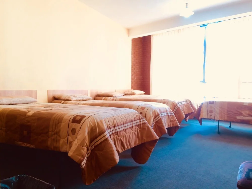 Lobo Hostel La Paz