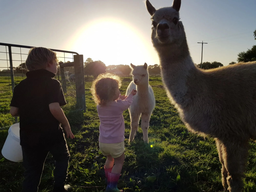 Clonmara Country House and Cottages