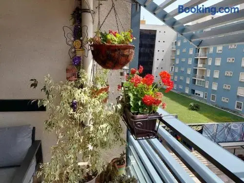 Apartment Majda