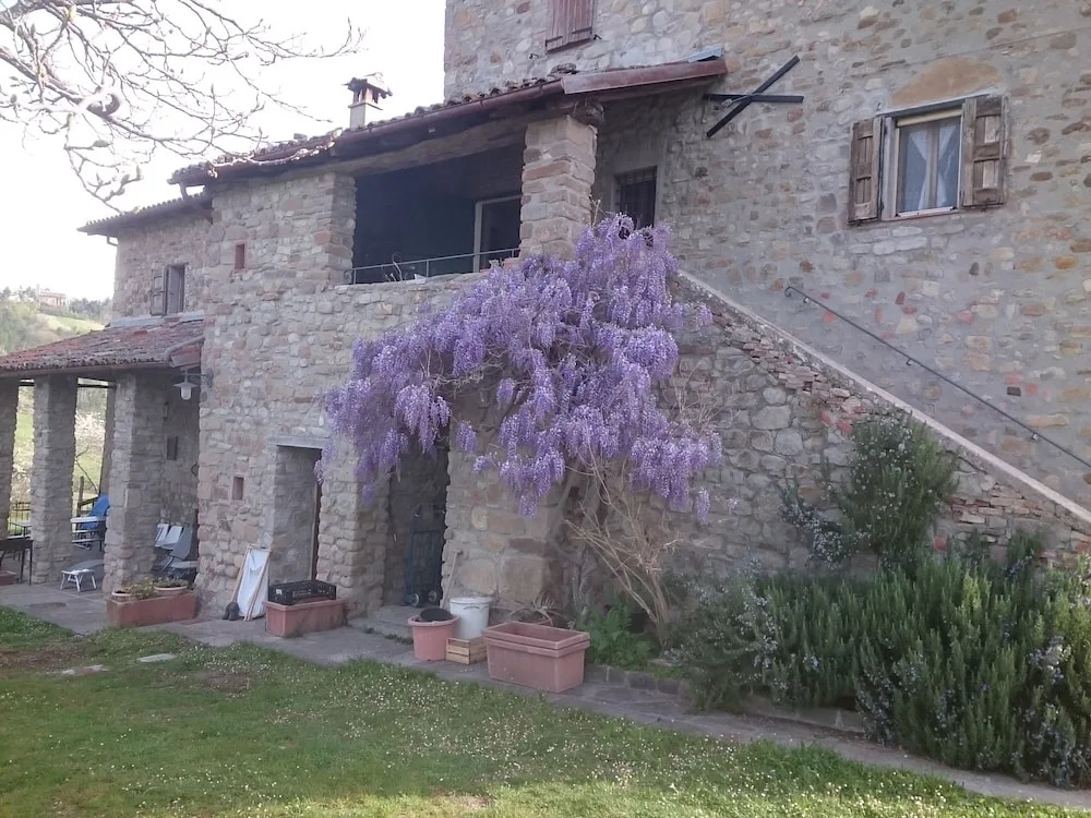 Monte Bibele