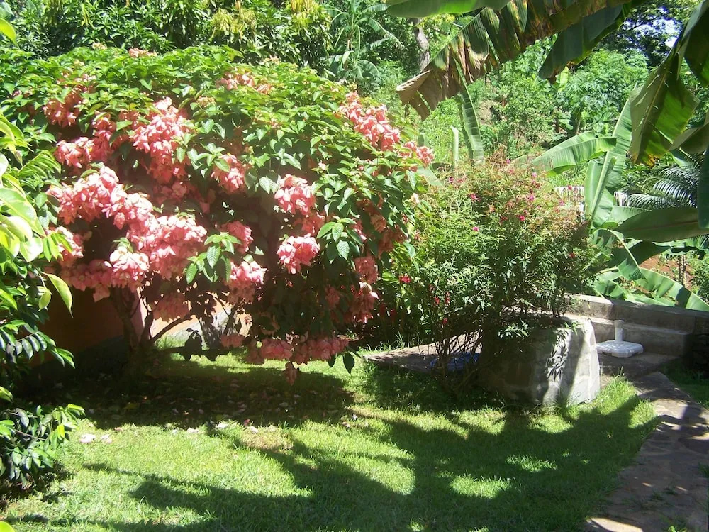 Villa Maora