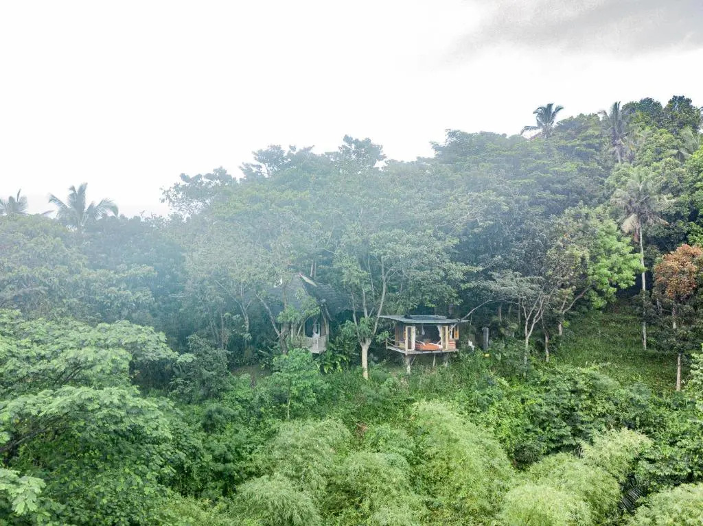 Bird Hills Bamboo House