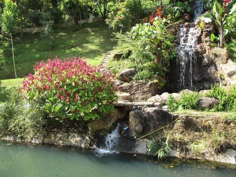 Thuleefa Health Resort