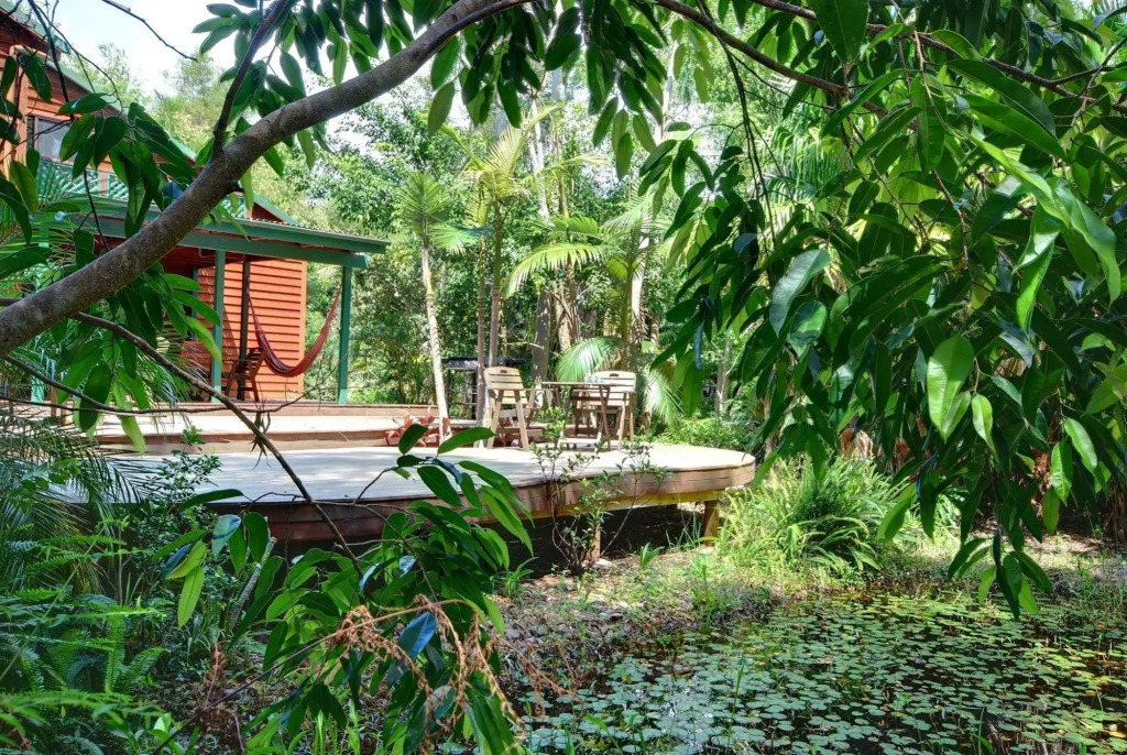 Planula Retreat