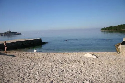 Apartment in Rovinj/Istrien 11656